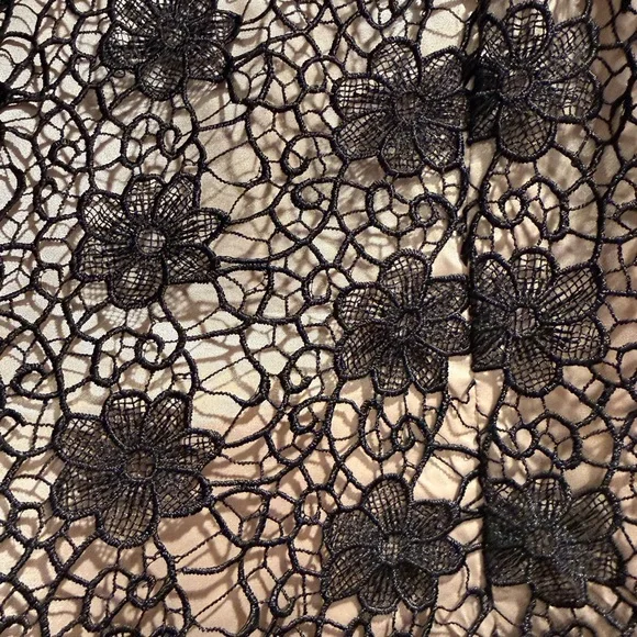 Bettie Page by Tatyana Elegant Lace Overlay Dress in Black and Beige - Picture 4 of 8